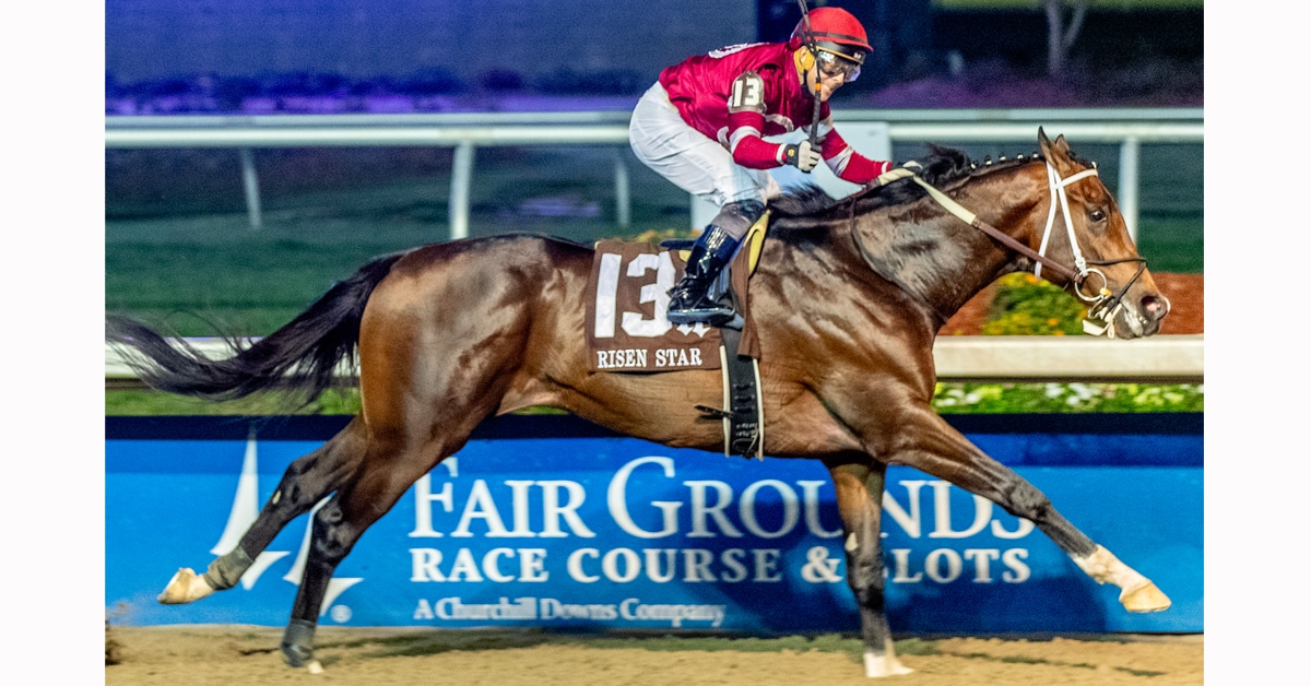 把我们的青 把我们的青